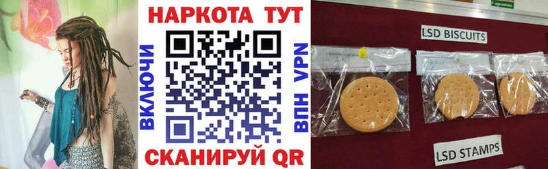 MDMA Мытищи