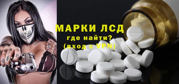 гашик Новокубанск