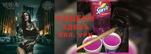 стаф Новозыбков