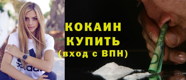 стаф Новозыбков