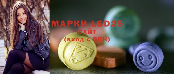 стаф Новозыбков