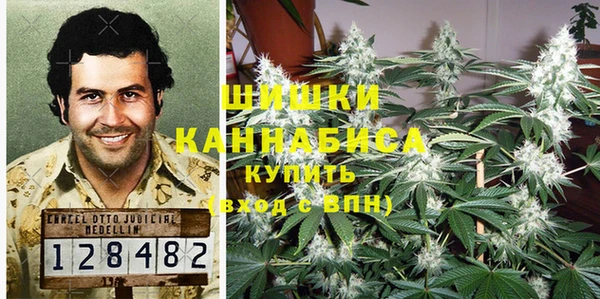 бошки Няндома