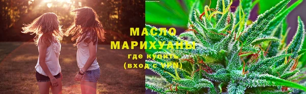 стаф Новозыбков