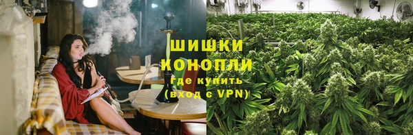 гашик Новокубанск