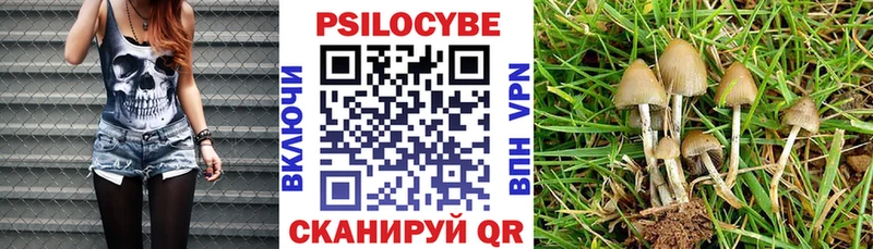 даркнет формула  Мытищи  Псилоцибиновые грибы Cubensis 