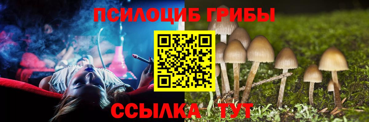 Галлюциногенные грибы MAGIC MUSHROOMS  Вход с VPN  Мытищи  Псилоцибиновые грибы Magic Shrooms 