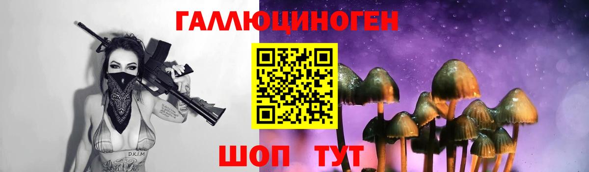 Галлюциногенные грибы MAGIC MUSHROOMS Мытищи