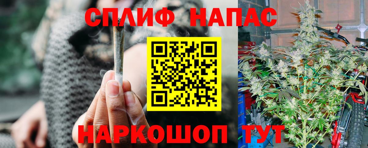 A PVP Мытищи